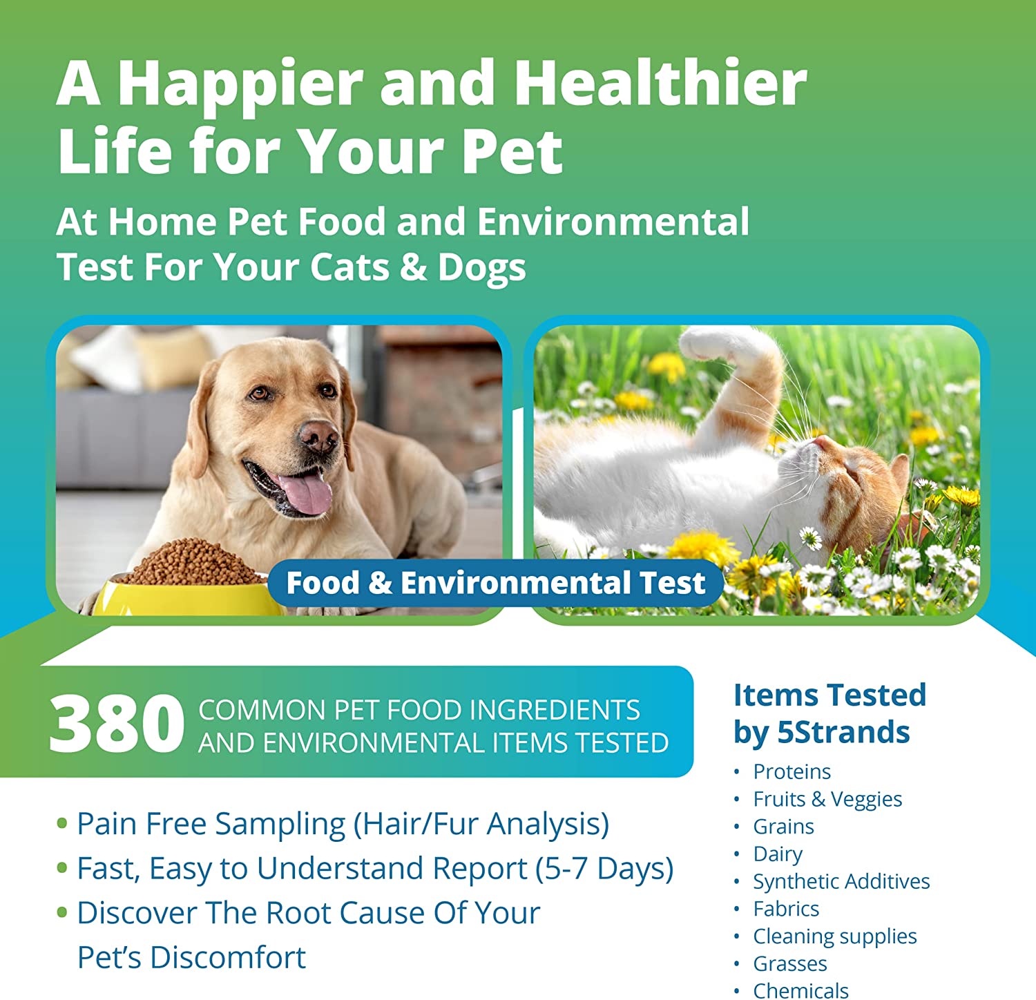 DNA Test Kits For Dogs - Buying Guide - 5Strand
