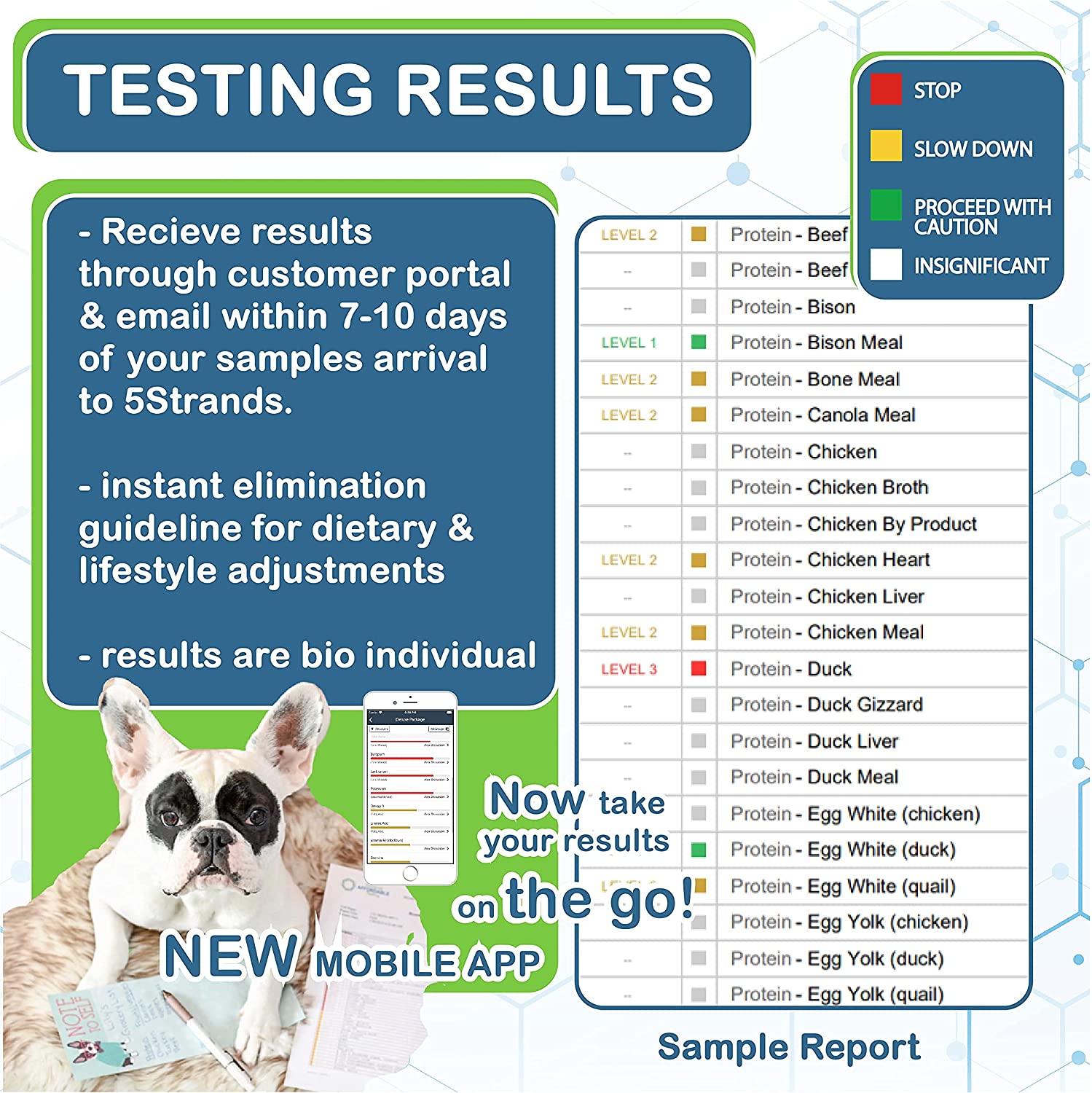 DNA Test Kits For Dogs - Buying Guide - 5Strand