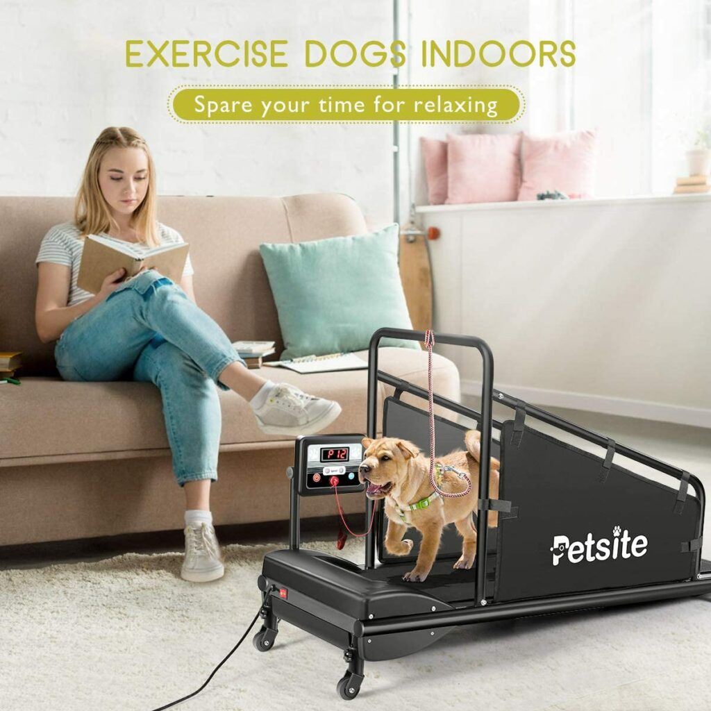 Best Rated Dog Treadmills - The Ultimate Buying Guide - Petsite