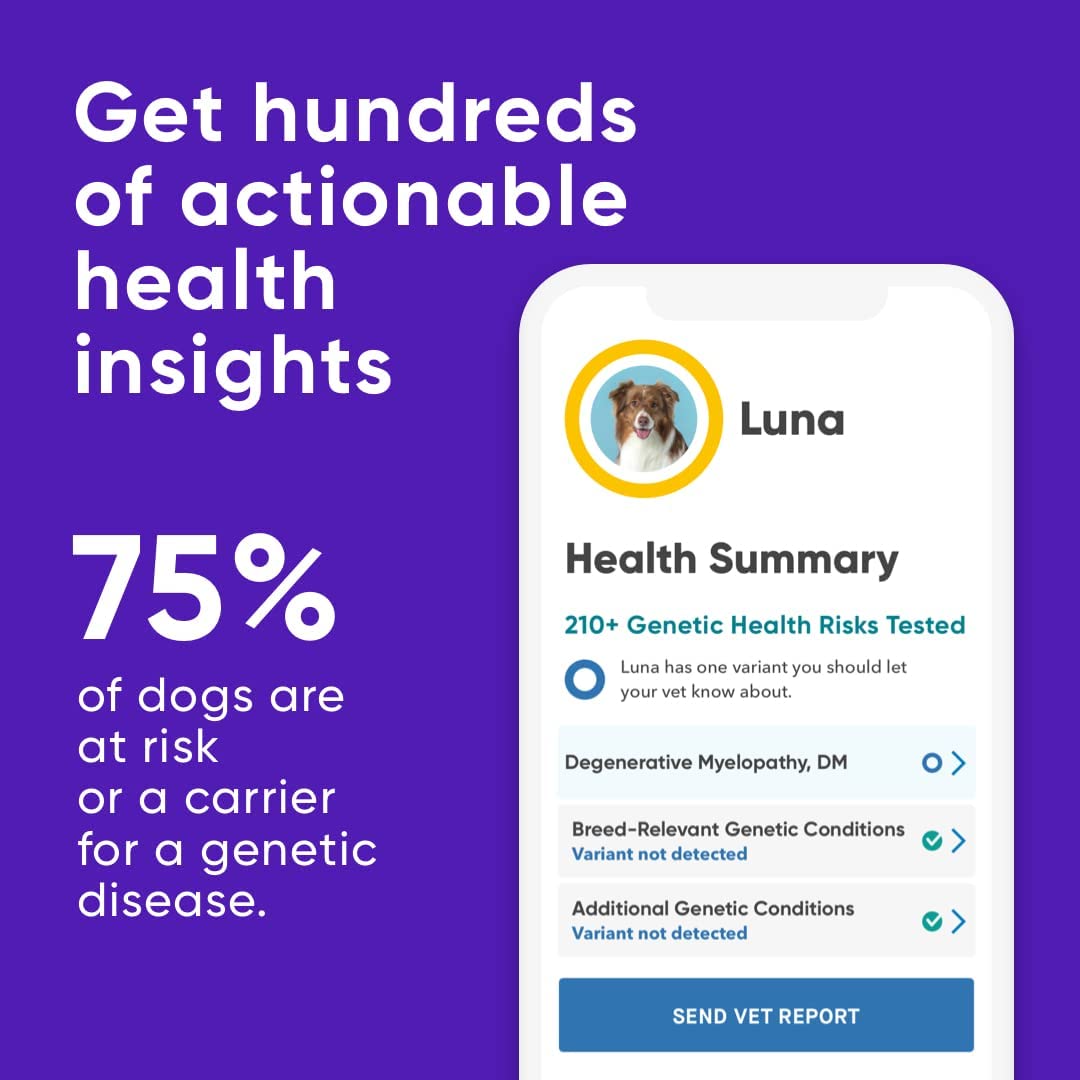 DNA Test Kits For Dogs - Buying Guide - Embark