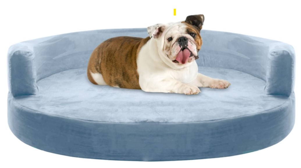 Best English Bulldog Beds - Kopeks
