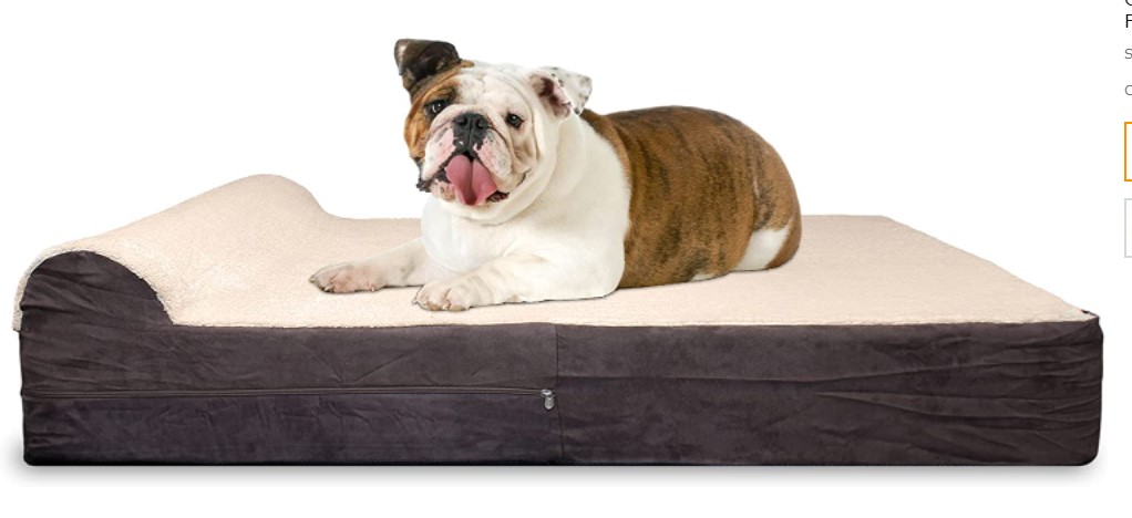 Best English Bulldog Beds - Kopeks