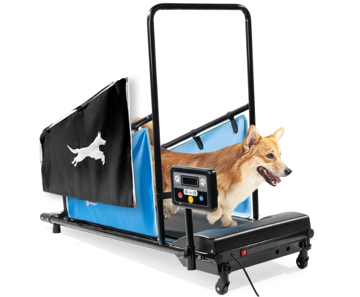 Best Rated Dog Treadmills - LifePro