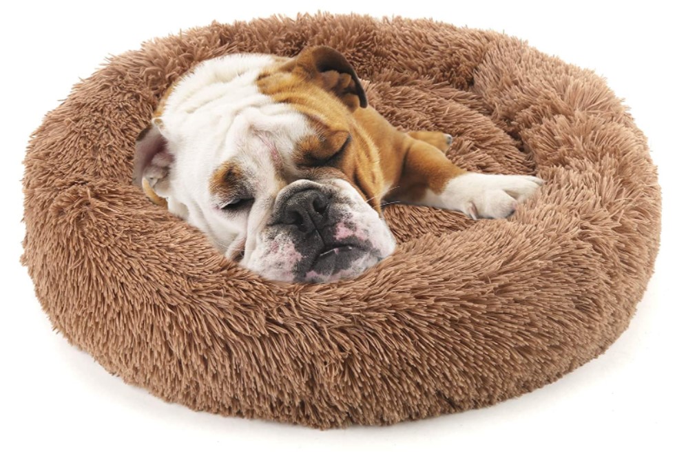 Best English Bulldog Beds - NOYAL Donut Dog Bed