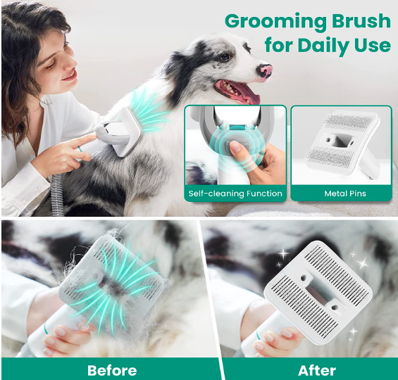 5 Best Dog Grooming Vacuums: Keep Your Pet Looking Fresh