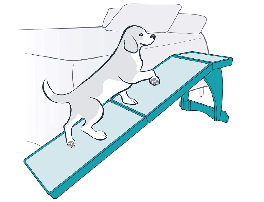 5 Best Dog Ramps - The Ultimate Buying Guide - CozyUp Dog Ramp