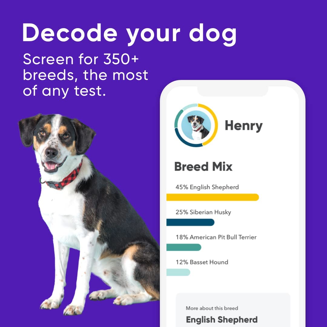 DNA Test Kits For Dogs - Buying Guide - Emark Breed Identification