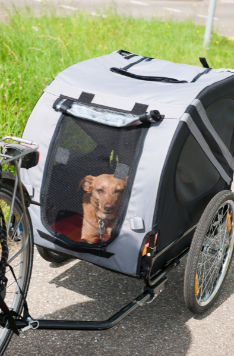 The Dog Stroller Guide: Everything You Need To Know About Buying One - Bike Trailer
